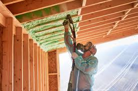 Best Commercial Insulation Services  in Wyandotte, MI