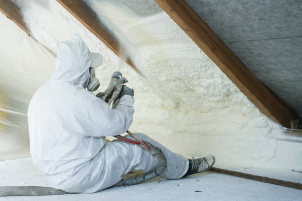 Best Basement Insulation  in Wyandotte, MI