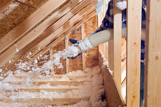 Best Radiant Barrier Insulation  in Wyandotte, MI