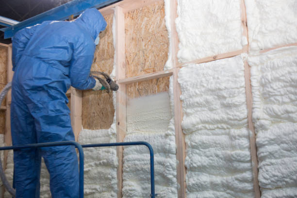 Best Radiant Barrier Insulation  in Wyandotte, MI